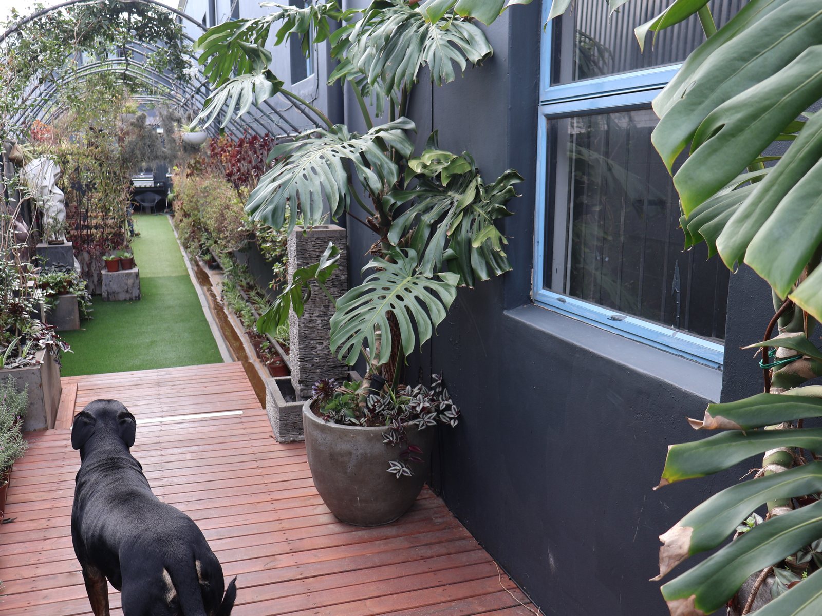 The wooden deck wrapping around the building