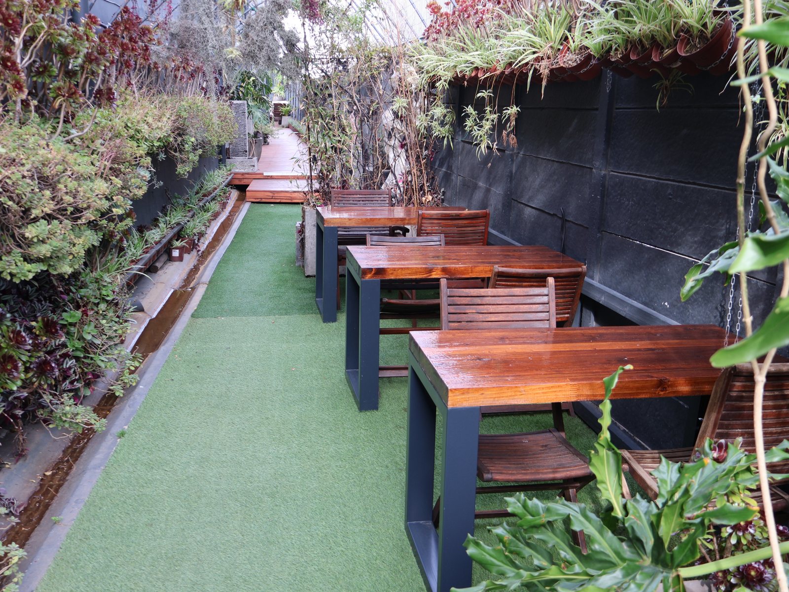 The garden at Studio G Garden
